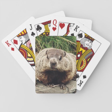 Groundhog Playing Cards