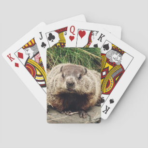 Groundhog Poker Cards