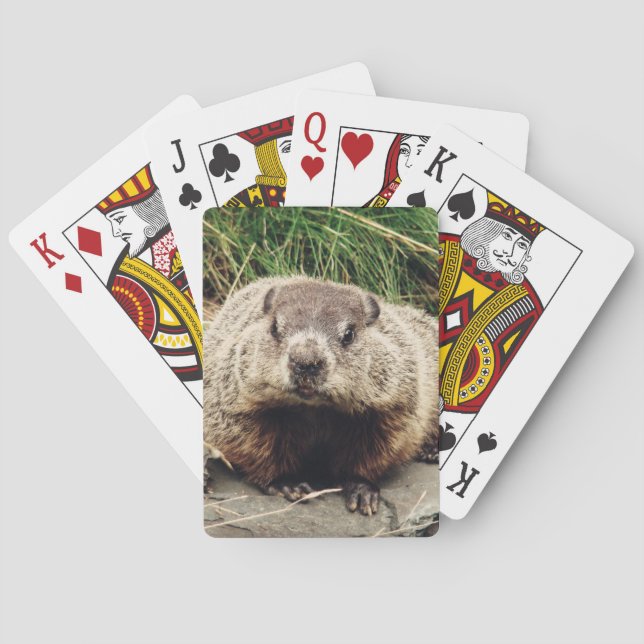 Groundhog Poker Cards (Back)