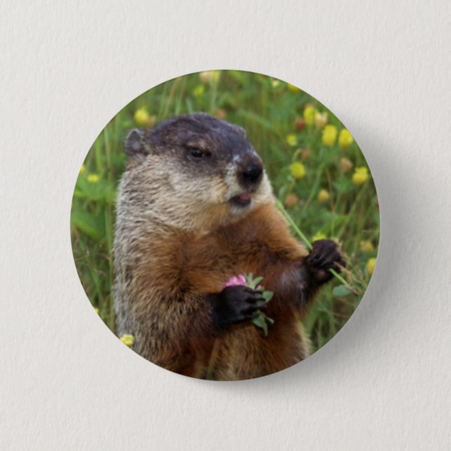 Groundhog Pose Button - Closer (Front)