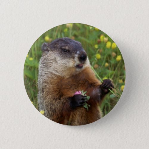 Groundhog Pose Button _ Closer