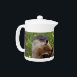 Groundhog Pose Teapot<br><div class="desc">Celebrate the end of winter with this cute little groundhog in yellow wildflowers.</div>