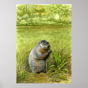 Groundhog Sitting in the Grass Eating Poster