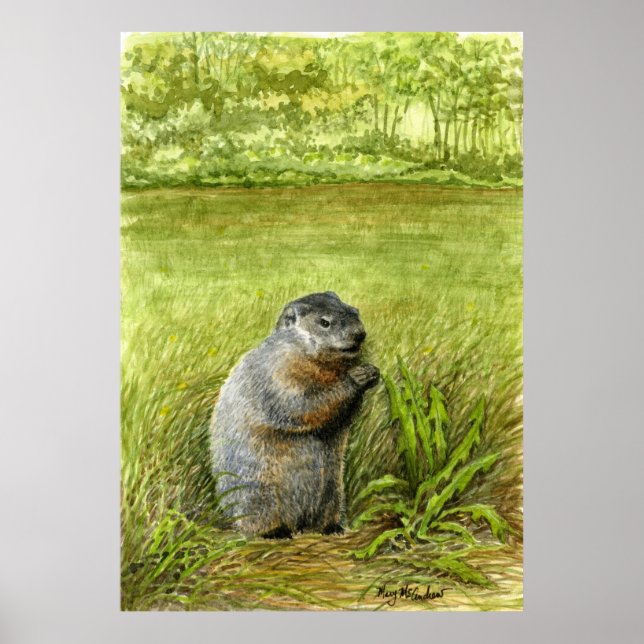 Groundhog Sitting in the Grass Eating Poster (Front)