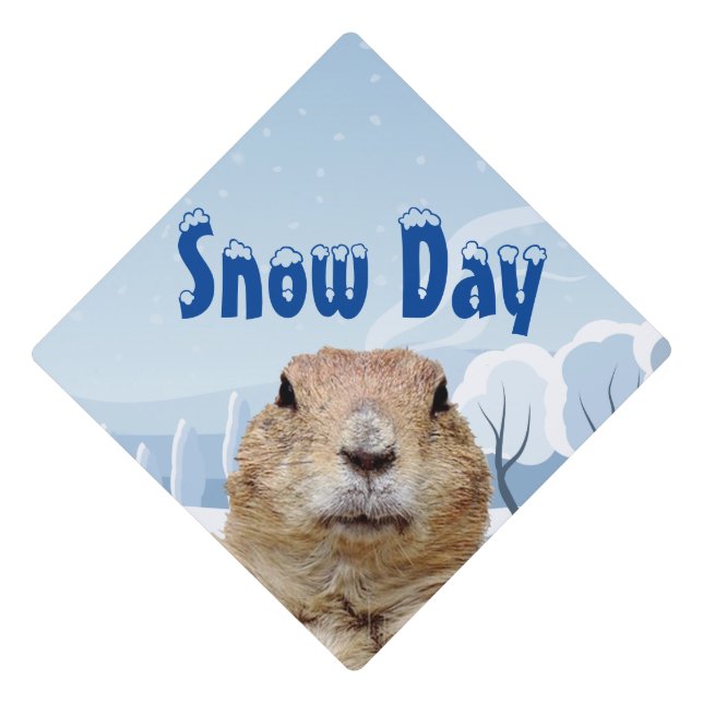 Groundhog Snow Day Graduation Cap Topper (Front)
