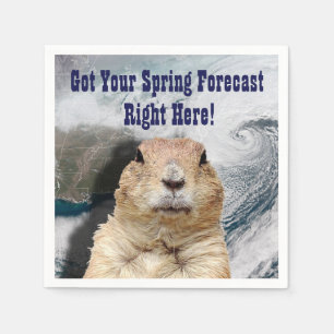 Groundhog Spring Forecast Paper Napkins
