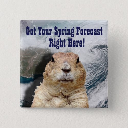 Groundhog Spring Forecast Pinback Button