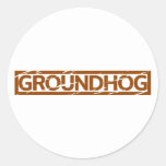 Groundhog Stamp Classic Round Sticker