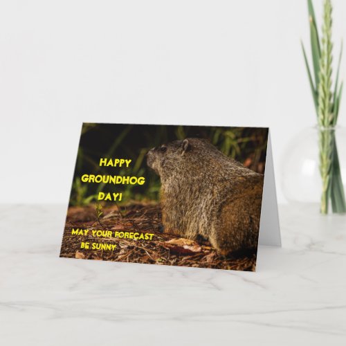 Groundhog Sunny Card