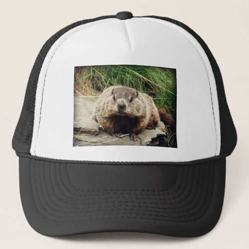 Groundhog Trucker Hat