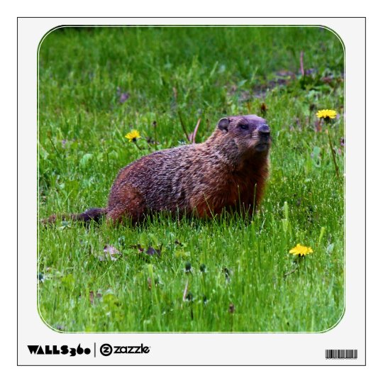 Groundhog Wall Sticker | Zazzle.com