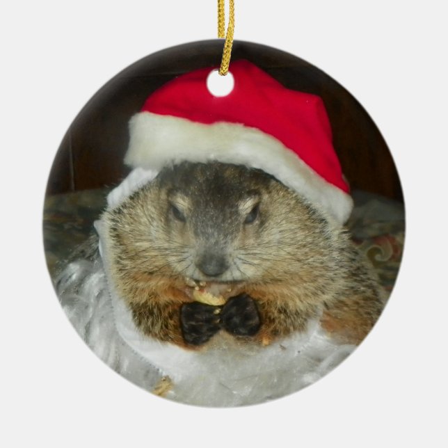 Groundhog/Woodchuck Clara Ornament (Front)