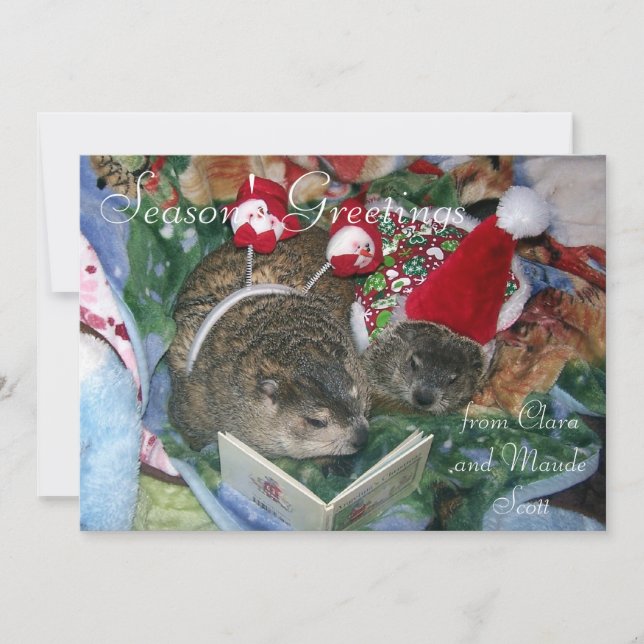 Groundhogs Clara and Maude's Holiday Greeting (Front)