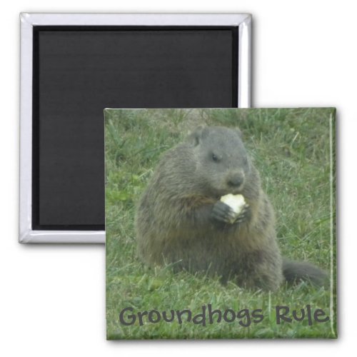 Groundhogs Rule _ Groundhog Day Magnet