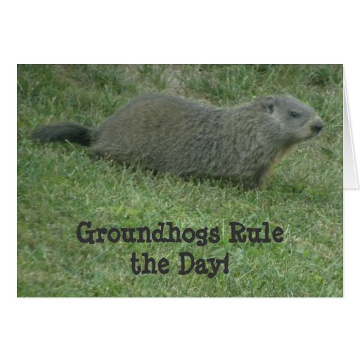 Groundhogs Rule the Day - Groundhog Day Card | Zazzle