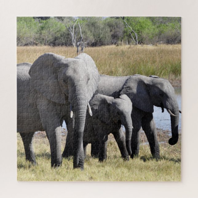 Group of African Elephants in Front of Water Hole Jigsaw Puzzle (Vertical)