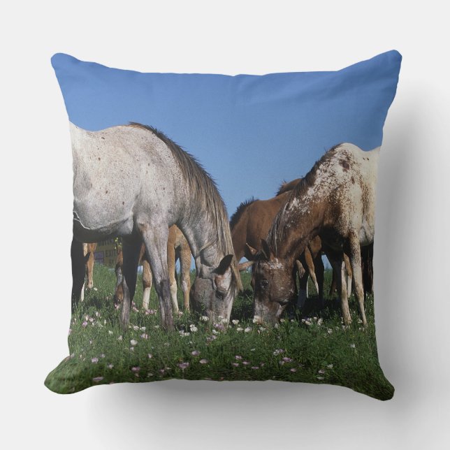 Group of Appaloosa Horses Grazing Throw Pillow (Front)