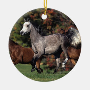 Group of Arab Horses Running Ceramic Ornament