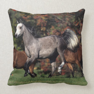 Group of Arab Horses Running Throw Pillow