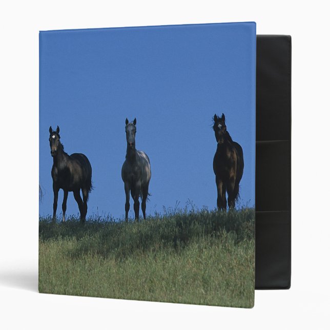 Group of Arabs 3 Ring Binder (Front/Inside)