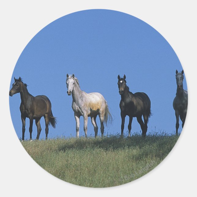 Group of Arabs Classic Round Sticker (Front)