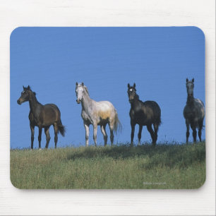 Group of Arabs Mouse Pad