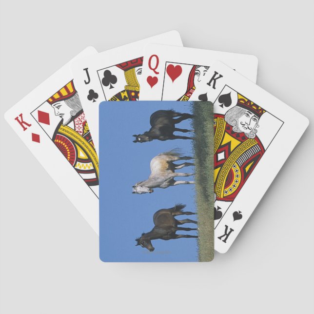 Group of Arabs Poker Cards (Back)