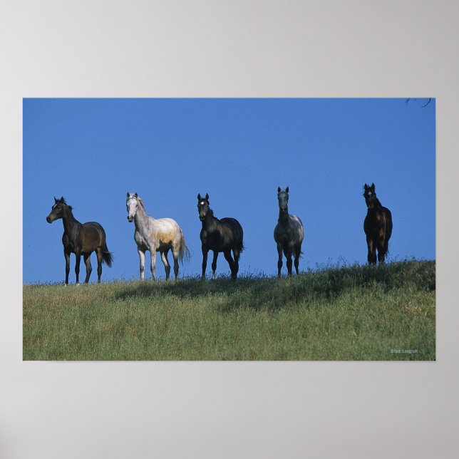 Group of Arabs Poster (Front)