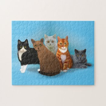 Group Of Beautiful Cats For Cat Lovers Puzzle by AutumnRoseMDS at Zazzle