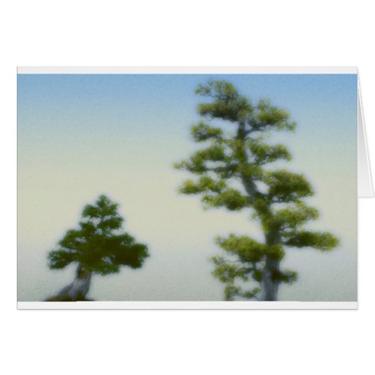 Group of Bonsai Pine Trees Cards (Front Horizontal)