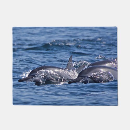 Group of bottlenose dolphins _ Oman Doormat