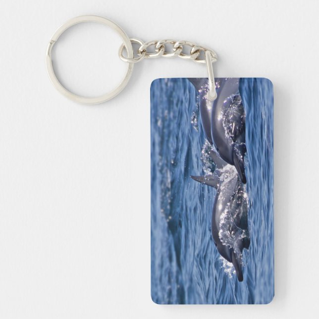 Group of bottlenose dolphins - Oman Keychain (Front)
