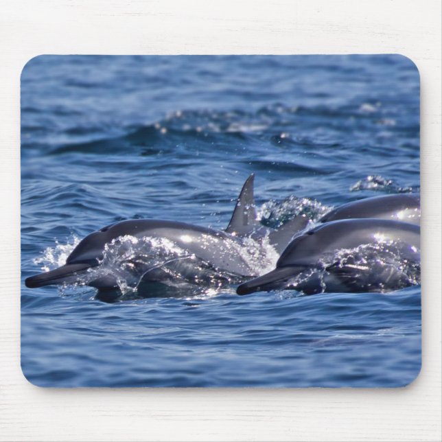 Group of bottlenose dolphins - Oman Mouse Pad (Front)