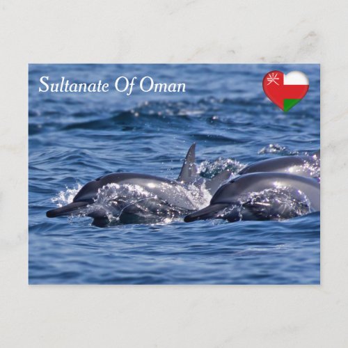 Group of bottlenose dolphins _ Oman Postcard