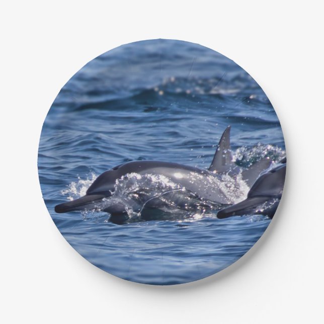 Group of bottlenose dolphins paper plates (Front)