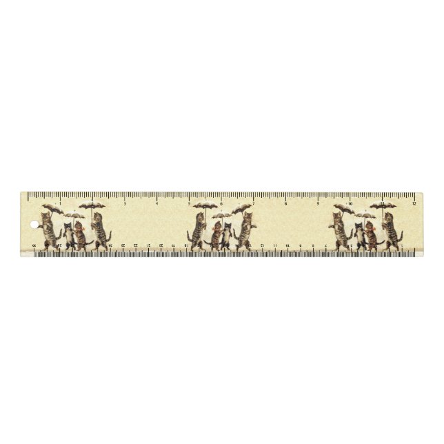 Group of Brown Cats Kittens Umbrellas in Snow Ruler (Front)