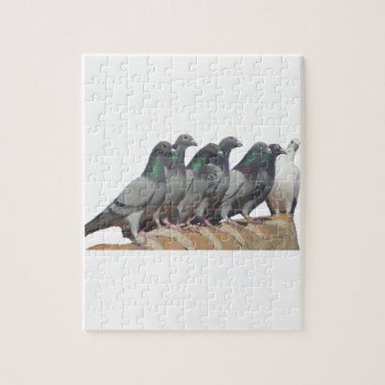 Group Of Carrier Pigeons Jigsaw Puzzle by naturanoe at Zazzle