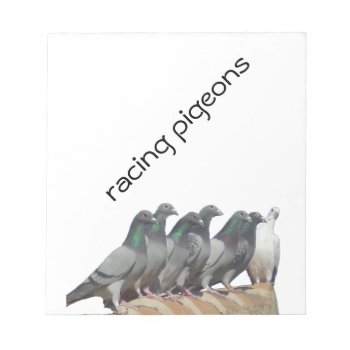 Group Of Carrier Pigeons Notepad by naturanoe at Zazzle