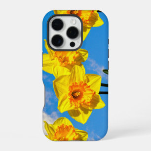 Group of Daffodils Gold Medal flowers Phone Case