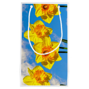 Group of Daffodils Gold Medal flowers Small Gift Bag