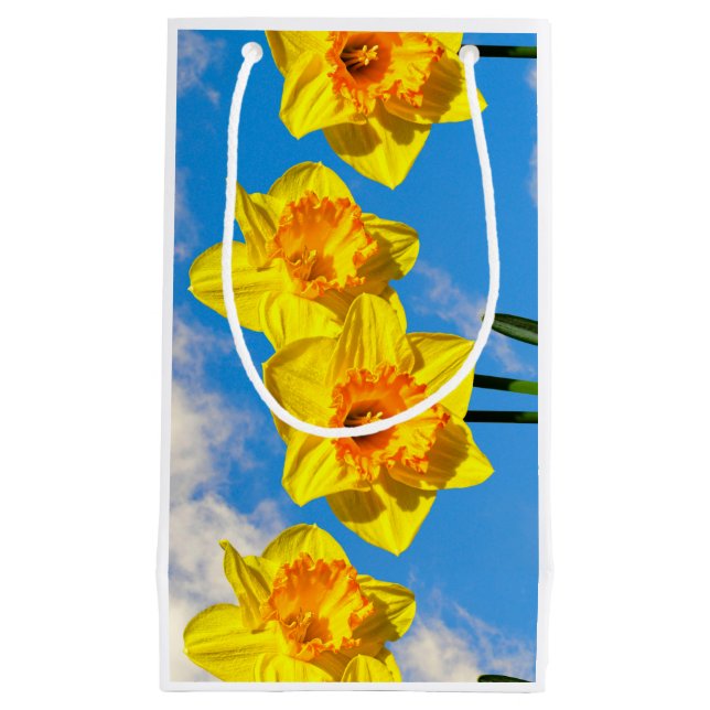 Group of Daffodils Gold Medal flowers Small Gift Bag (Front)
