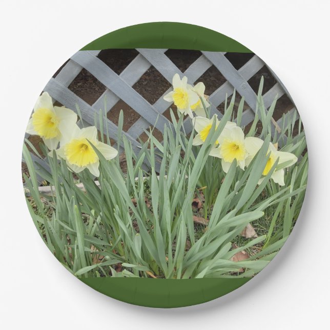 Group of Daffodils Paper Plates (Front)
