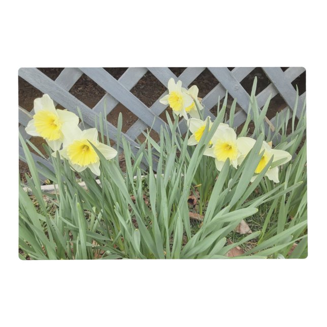 Group of Daffodils/ Tulips Placemat (Front)