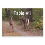 Group of Deer Table Number