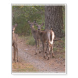 Group of Deer Temporary Tattoos