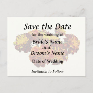 Group of Different Kinds of Marigolds Announcement Postcard
