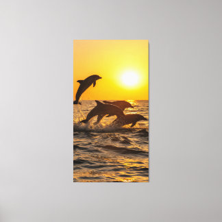group of dolphins happily leap out of the waves  canvas print