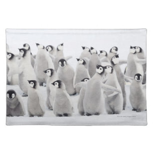 Group of Emperor penguins (Aptenodytes forsteri) Cloth Placemat