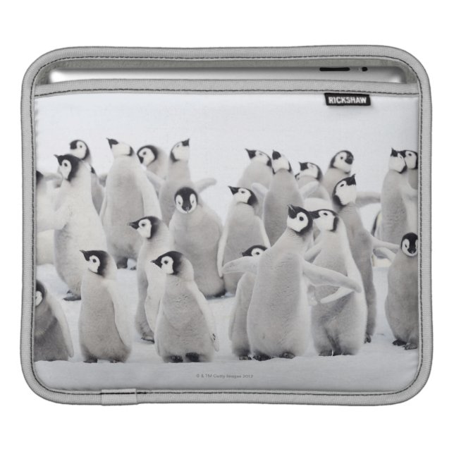 Group of Emperor penguins (Aptenodytes forsteri) Sleeve For iPads (Front Device)