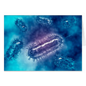 Group Of Escherichia Coli Bacteria Cells 1 (Front Horizontal)